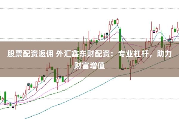 股票配资返佣 外汇鑫东财配资：专业杠杆，助力财富增值